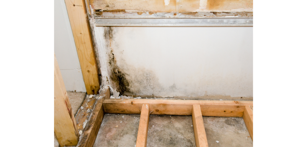 Seasonal tips for Mold in floors in OC Home