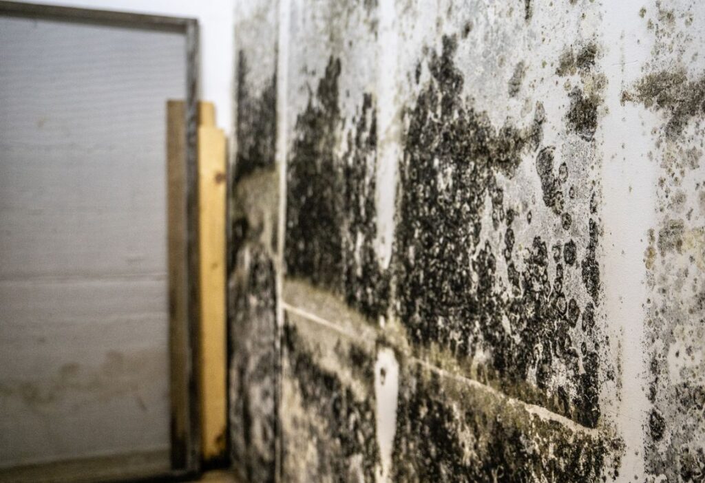 mold inside home in orange county, ca