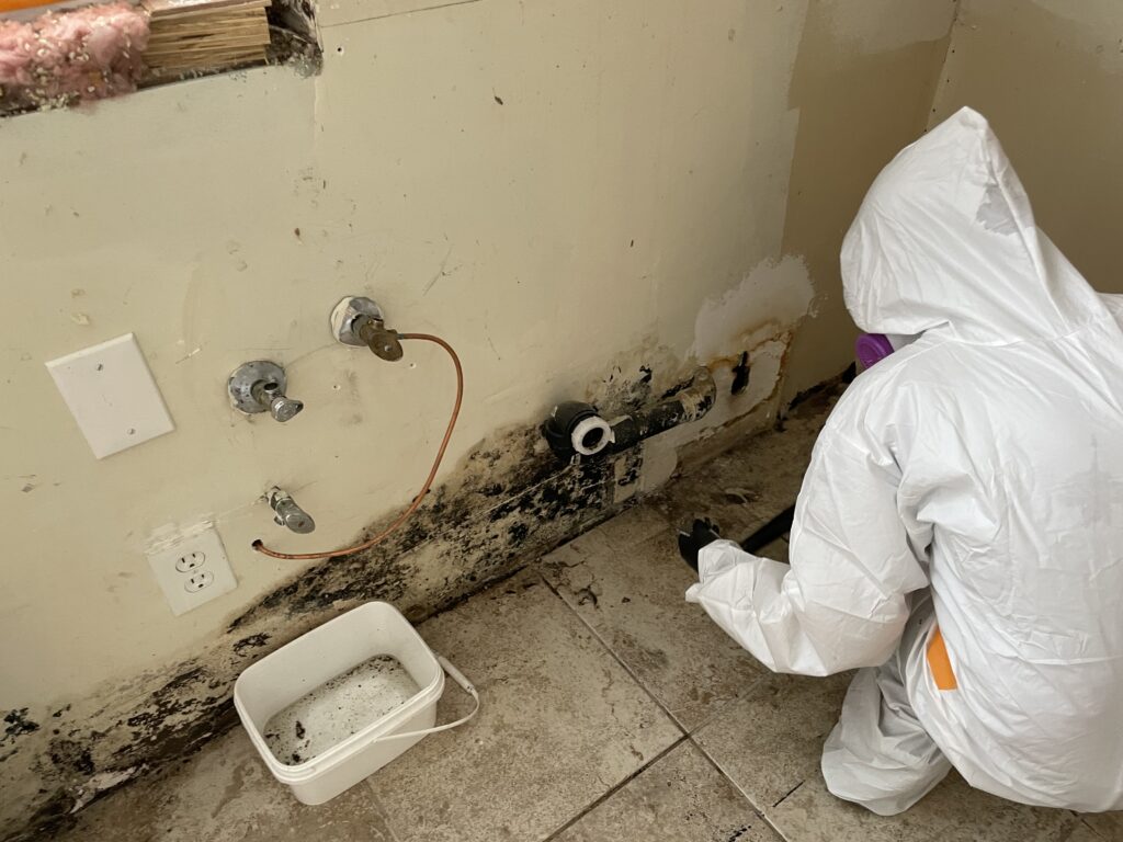 10 signs of mold in your home