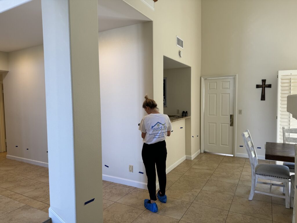 mold remediation company laguna beach ca