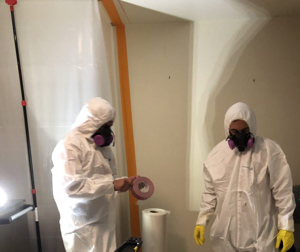 safe mold removal company in newport beach ca